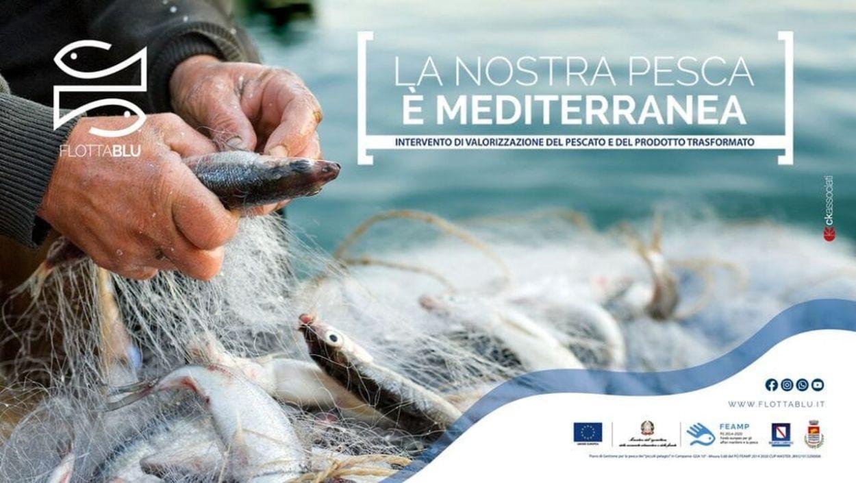 flotta blu pesca mediterranea premiazione