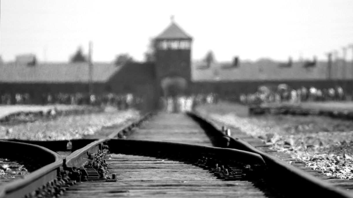 giorno della memoria pozzuoli ricorda vittime olocausto